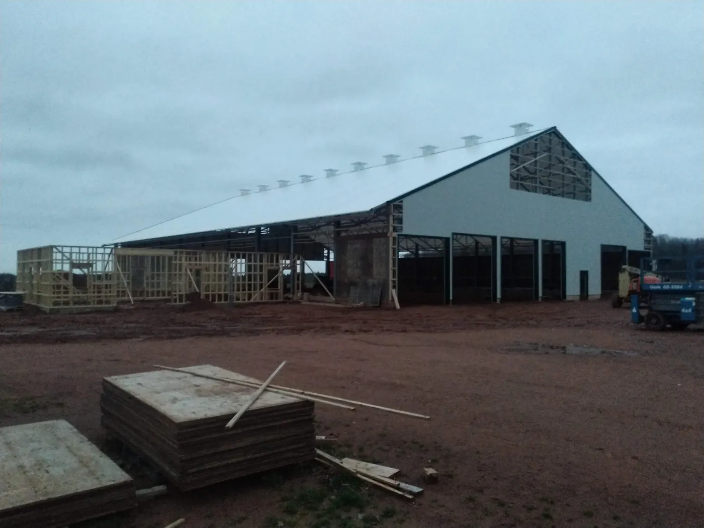 A dairy barn nearly finished, roof on and the last wall framing going up